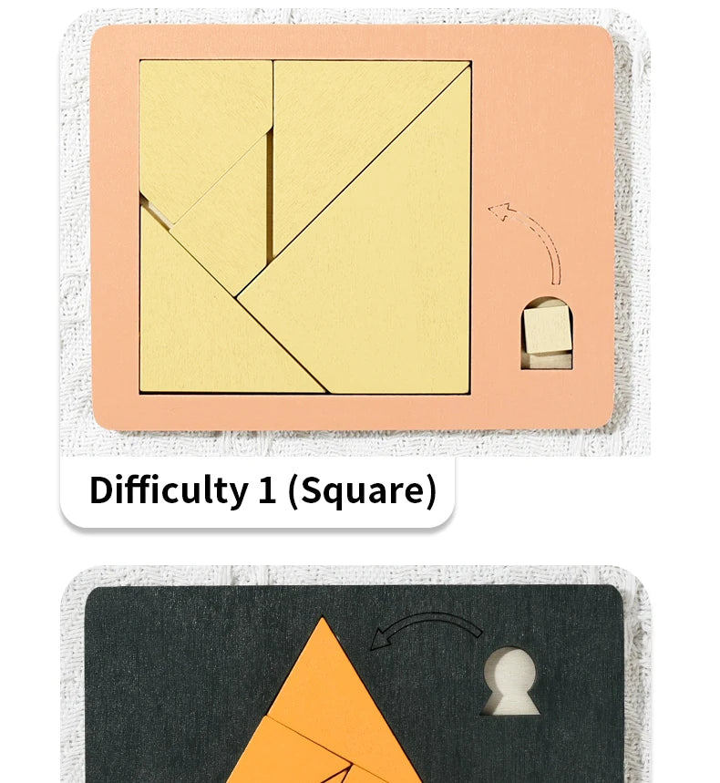 Geometric Puzzle Brain Bender